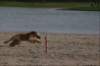 img_6037a_resized_small.jpg